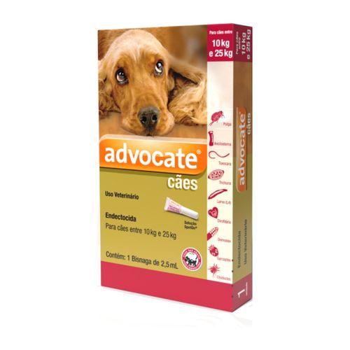 Advocate Cães Bisnaga