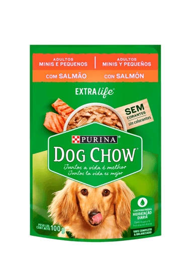 Sache Dog Chow Ad P Sal 100G