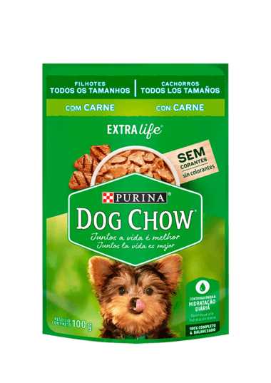 Sache Dog Chow Cao Fil Car 100G