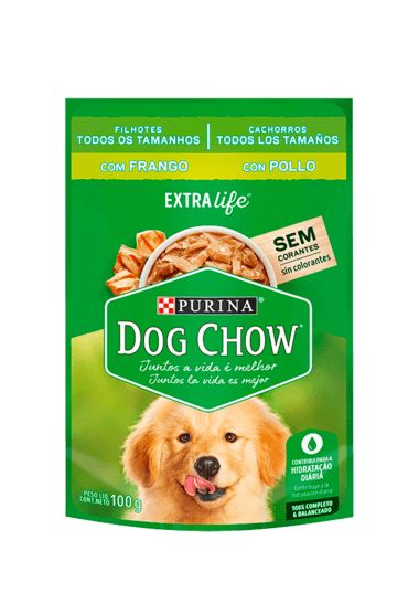 Sache Dog Chow Fil Frg 100G