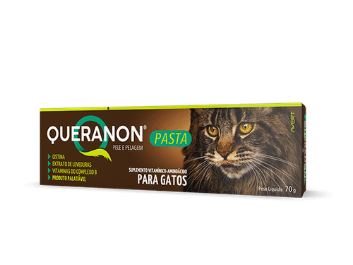 Queranon Gatos Em Pasta - 70G