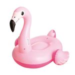 BOIA-MOR-FLAMINGO-M-001976