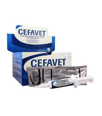 Cefavet 10Ml